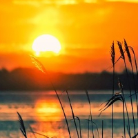 Rolf Arne Nordtvedt Røsand